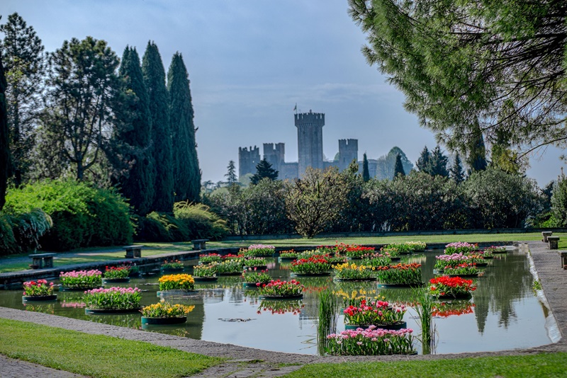 IMMERSI NELLA NATURA DEL PARCO SIGURTA'