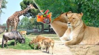 Parco Natura Viva